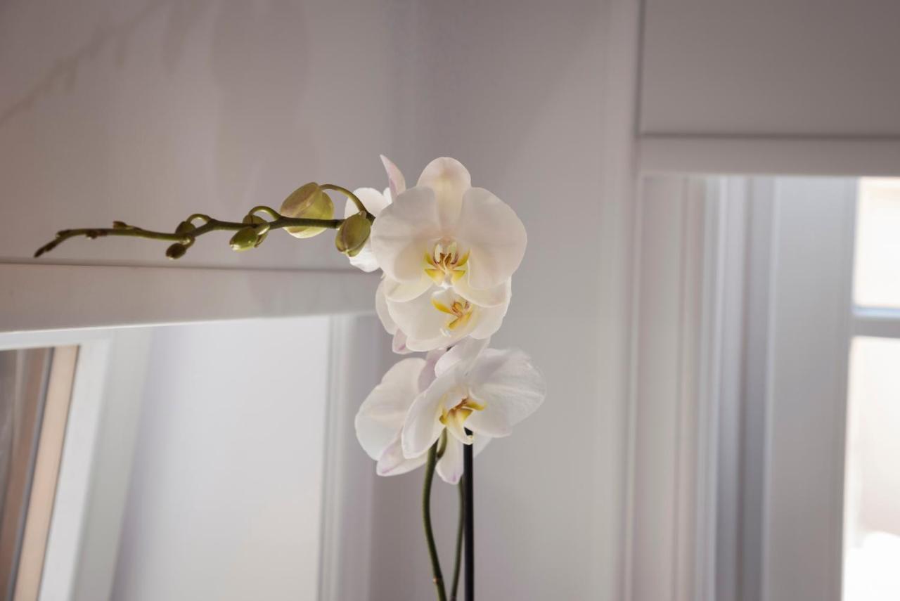 Casa Regina Luxury House Villa Chania  Luaran gambar